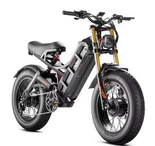 Fat bike elettrica - bike,