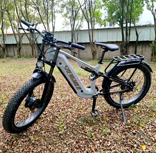 Bicicletta elettrica