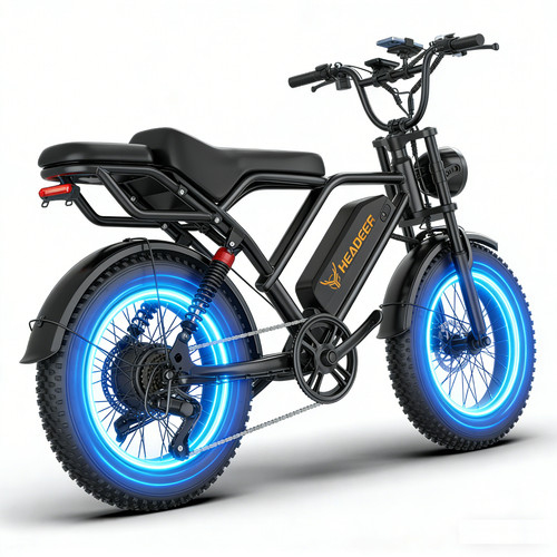 Bici elettrica fat tire - elettrica,