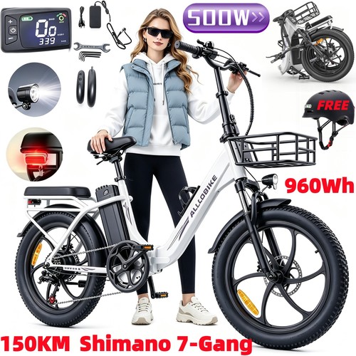 Bicicletta elettrica