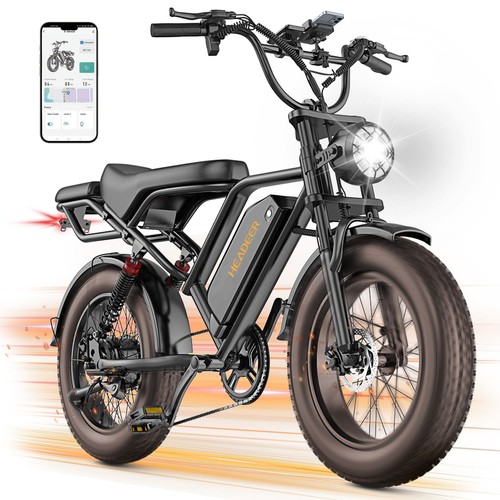 Fat tire bike - fat, e-bike