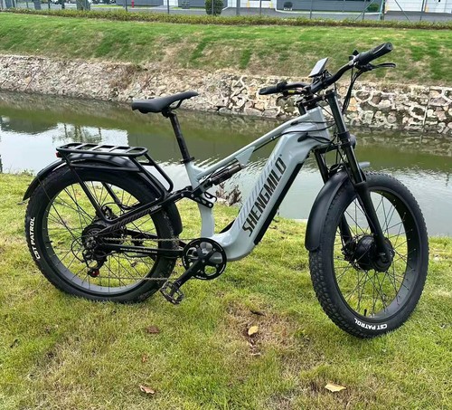 Bicicletta elettrica usata