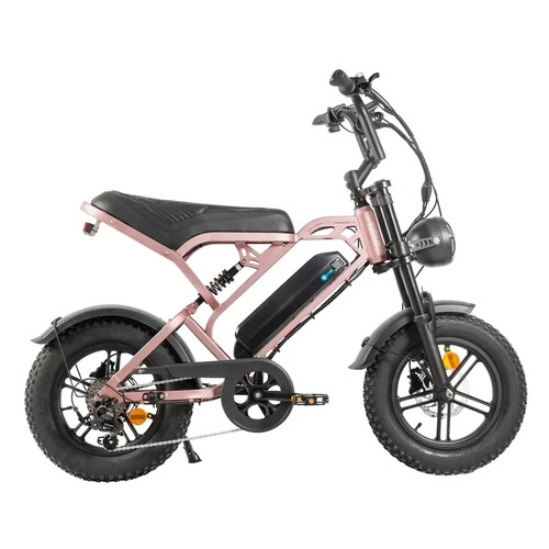 V20 pro mini fat bike - mini,