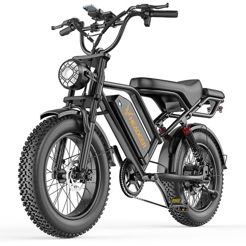 Bike fat tire 250w - fat,