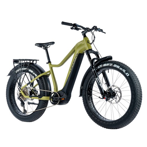 Bicicletta elettrica vae mtb - bicicletta,